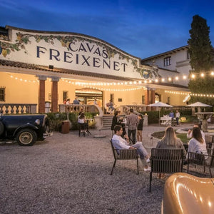 Mest Intressanta Vingårdarna Att Besöka i Cava-Regionen!