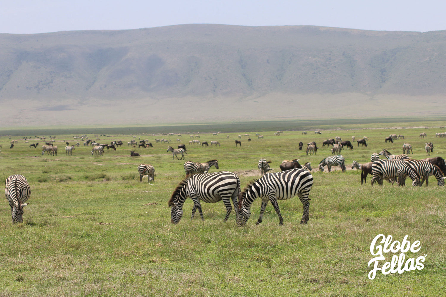 Ngorongoro Crater, Tanzania Safari Guide - Africa's Eden