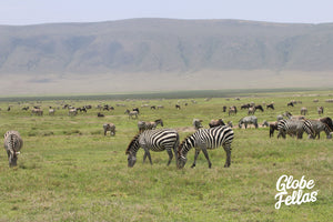 Ngorongoro Crater, Tanzania Safari Guide - Africa's Eden