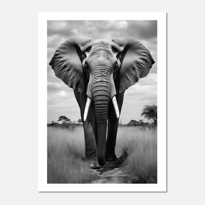 Elephant in the fields of Serengeti, Tanzania