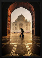 taj mahal cleaner Poster