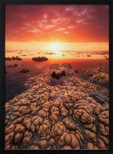 Low tide on the lagoon of Saint Leu. Poster