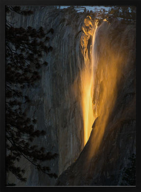 golden waterfall Poster