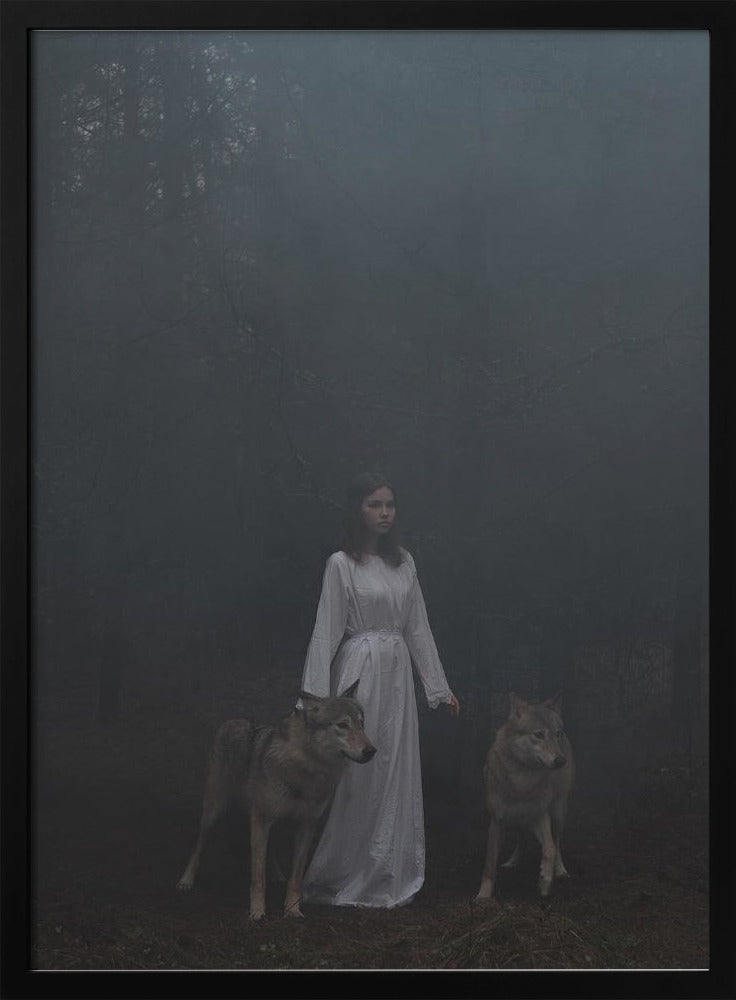 Beauty And The Beast Poster