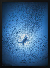 Diver and shoal of fish Poster