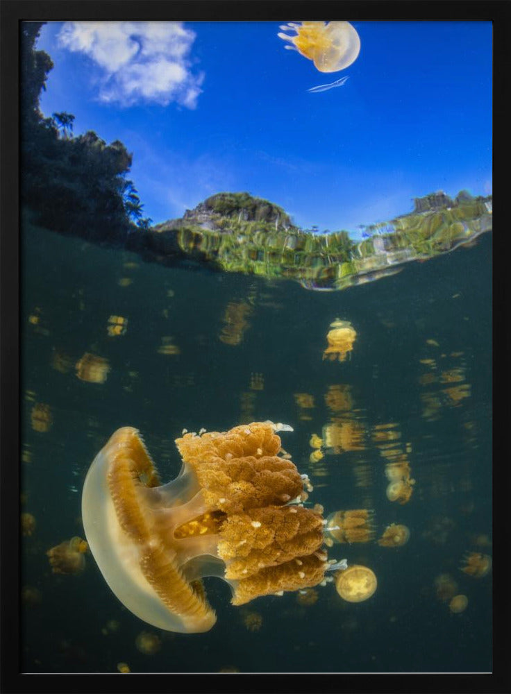 Flying jellyfish Poster