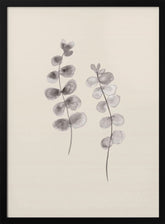 Eucalyptus Twigs Poster