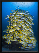 Fish Tower Poster