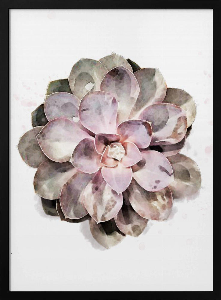 Succulent 01 Poster