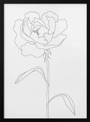 Peony Lines Poster