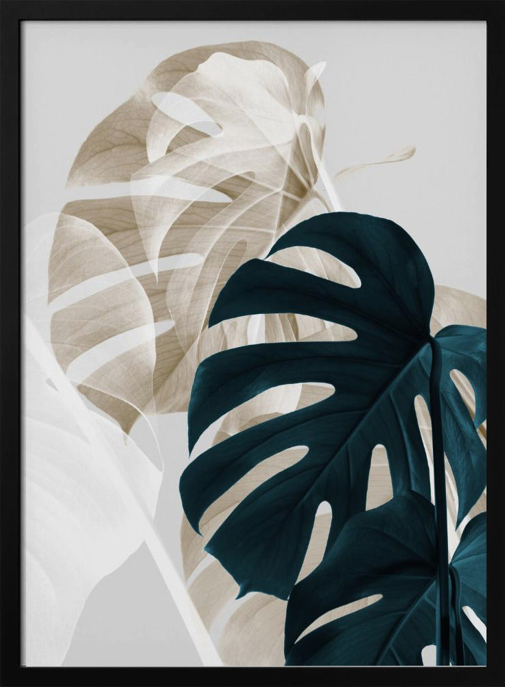 Monstera Creative 05 Poster