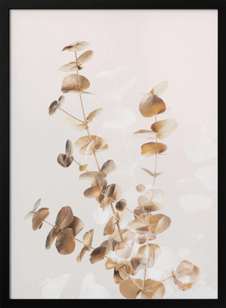 Eucalyptus Creative Gold 03 Poster