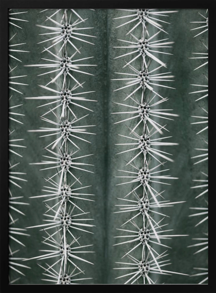 Cactus green Poster