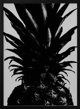 Pineapple bw Poster