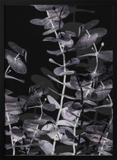 Eucalyptus_Negative_002 Poster