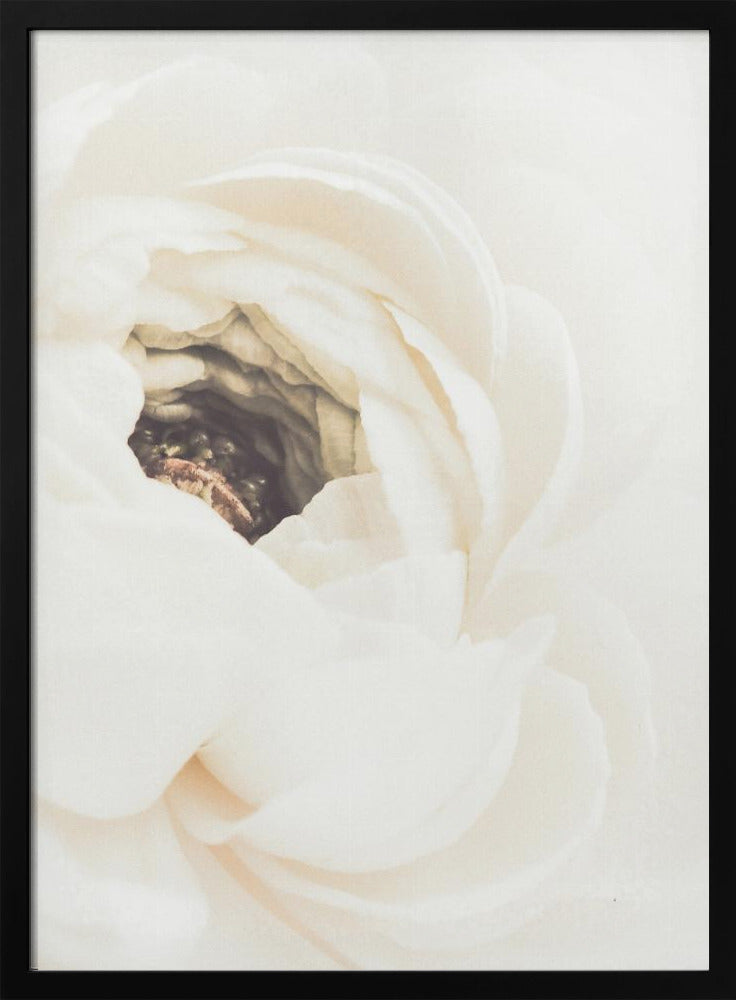 White Flower 01 Poster