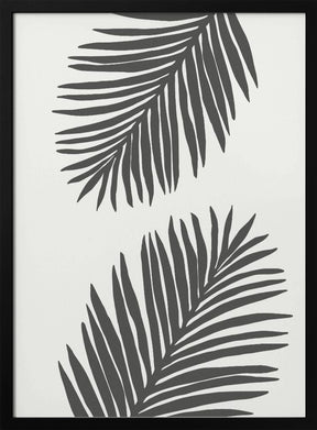 PALM LEAF 12 GRAPHITE GRAY Poster