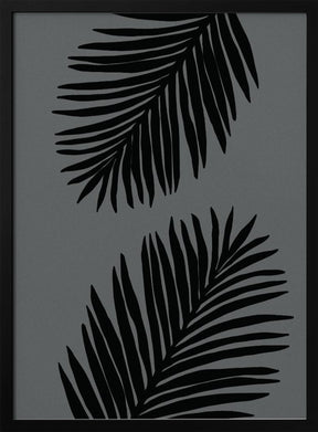 Palm Leaf Gray 02 Poster