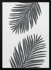 Palm Leaf Gray 01 Poster