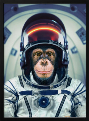 AstroMonkey Poster