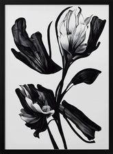 Black Flower Poster