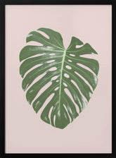 Monstera Leaf Blush Poster