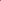 Cute Pink Flowers Poster