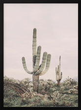 Pink Saguaro Poster