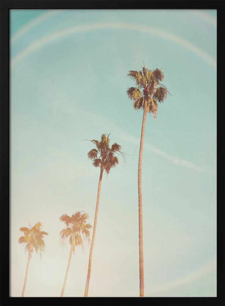 Sunny Cali Palm Tree Poster