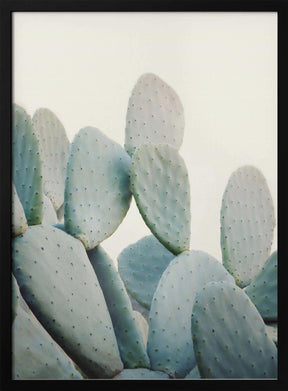 Pastel Cacti Poster