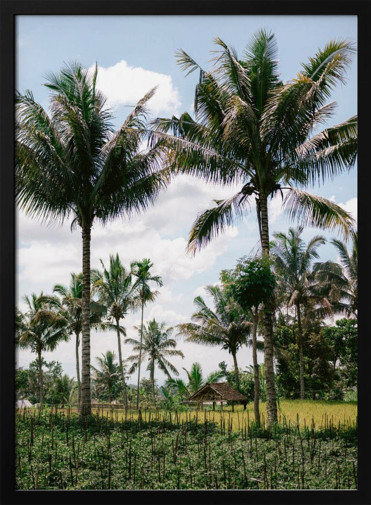 Tetebatu Lombok Poster