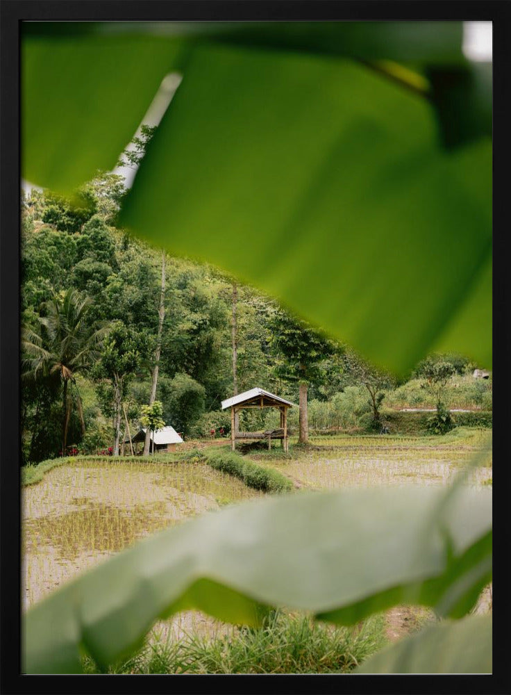 Tetebatu Lombok Poster