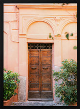 The Trastevere door || Poster