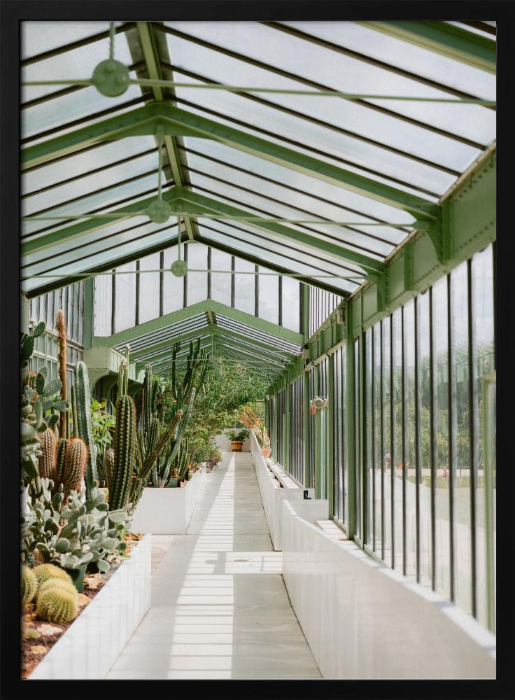 Botanical garden of Paris Poster