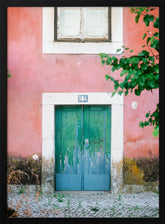 Little door in Lisbon Poster