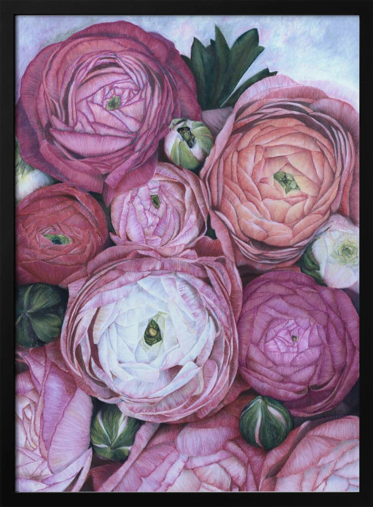 Arleth ranunculus bouquet in cold pink Poster