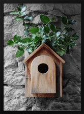 Holly birdhouse Poster