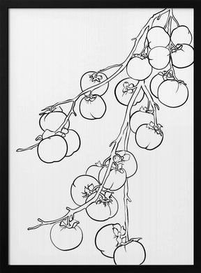 Branch of persimmons Poster