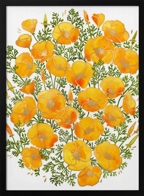 Gold accented California poppies Poster