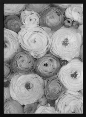 Scattered ranunculus grayscale II Poster