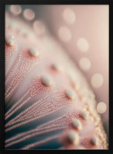 Pastel Pink Macro Poster