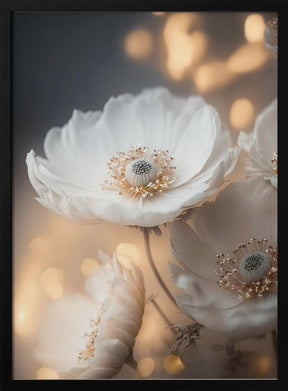 White And Golden Flowers Poster