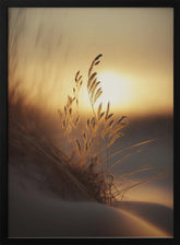 Evening Sun At The Beach Poster