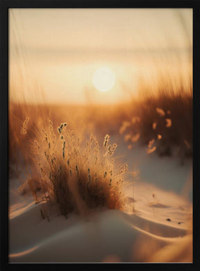 Sunset At The Beach Poster