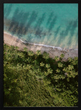 Palm Beach from Above Poster