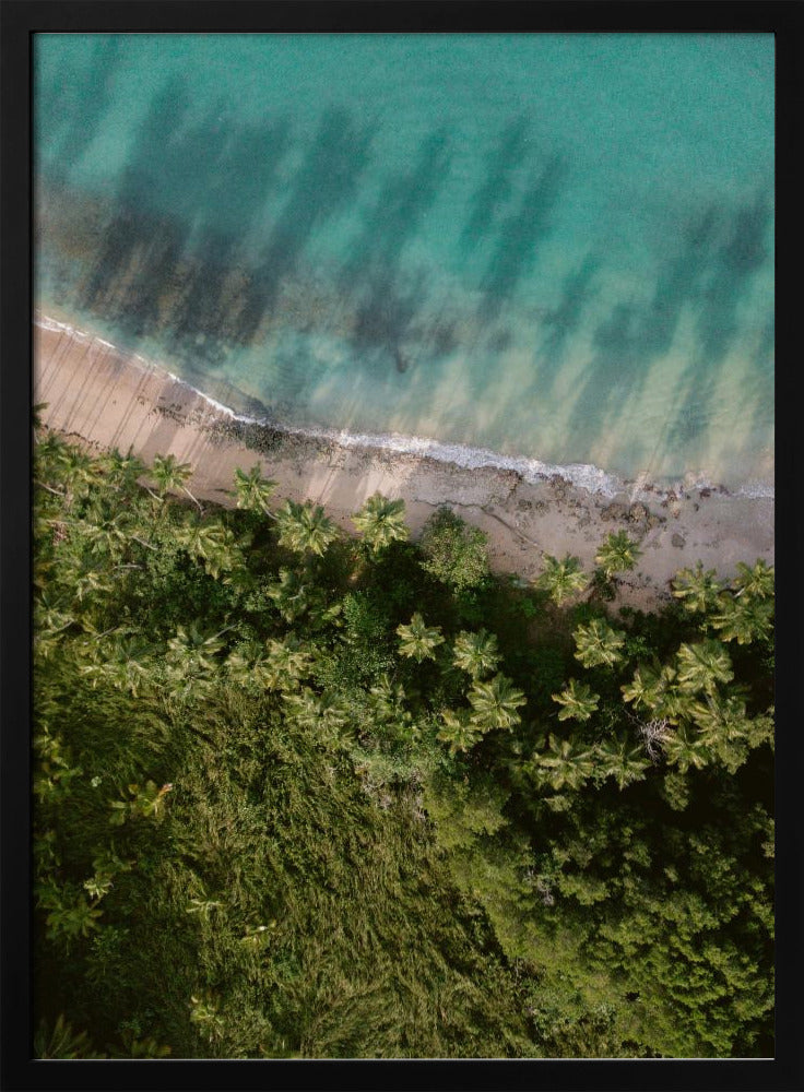 Palm Beach from Above Poster