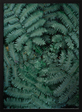 Green Leaves Poster