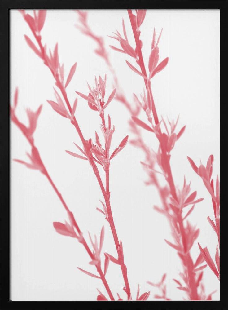 Pink dainty branch Poster