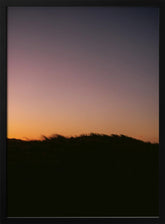 Dune Grass Sunset Poster