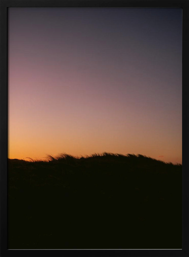 Dune Grass Sunset Poster